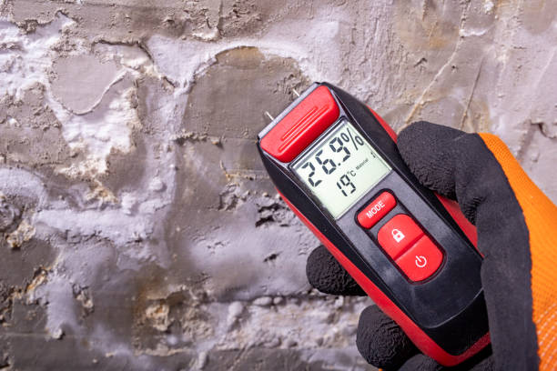 Office Mold Removal Services in Marshfield Hills, MA